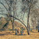 Illustration for article titled Awesome iGauntlet /iSurprise Hiding In LA Park